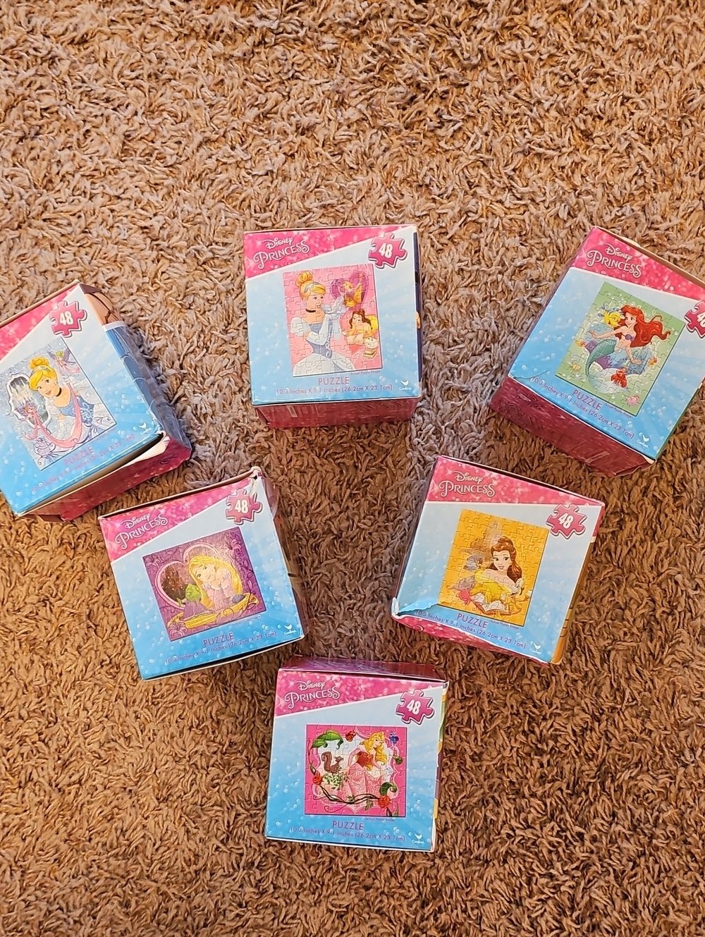 PRINCESS Puzzle Set
